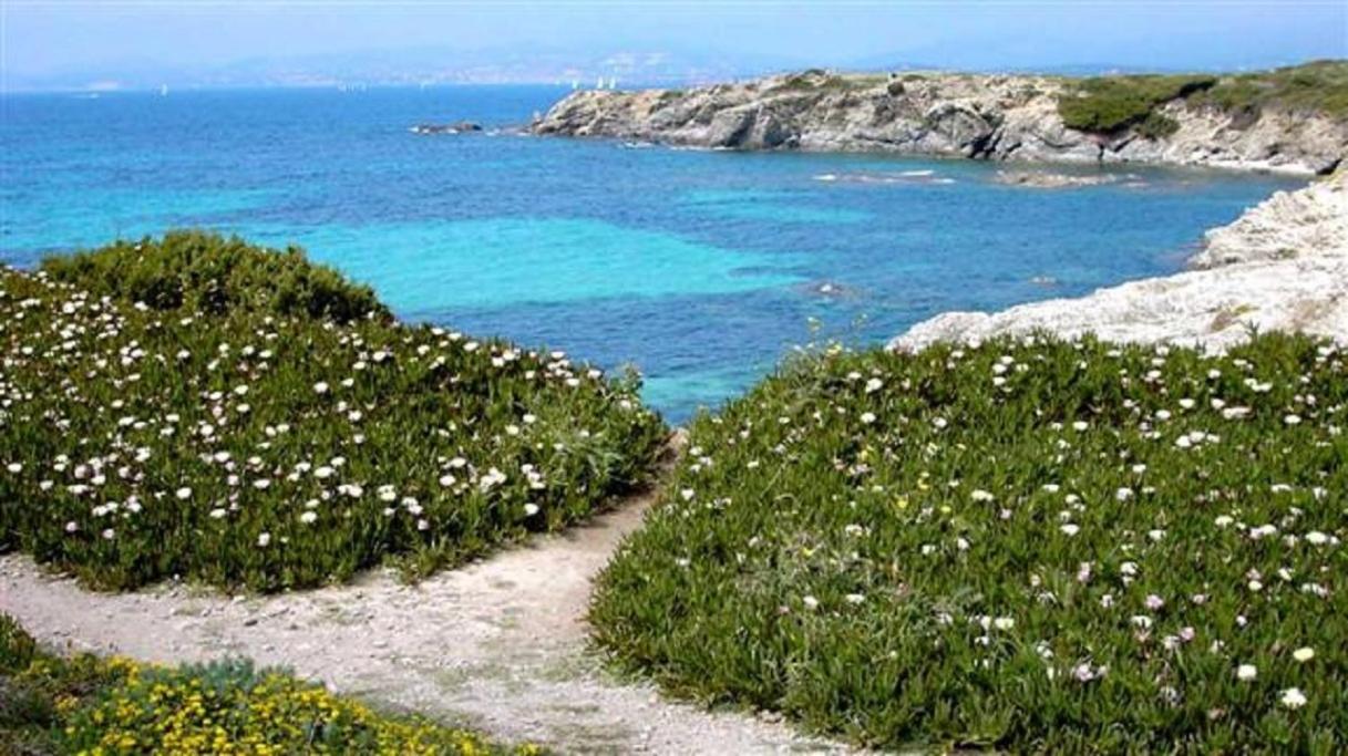 Villa Spacieuse, Climatisation, Piscine, Jardin Paysage, Proche Mer Saint-Cyr-sur-Mer Eksteriør billede